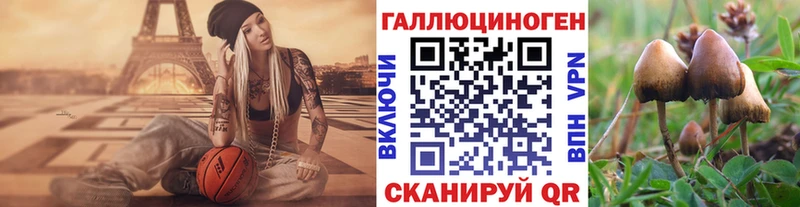 Галлюциногенные грибы Psilocybine cubensis kraken маркетплейс Омутнинск наркошоп